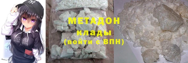 прущие грибы Абдулино