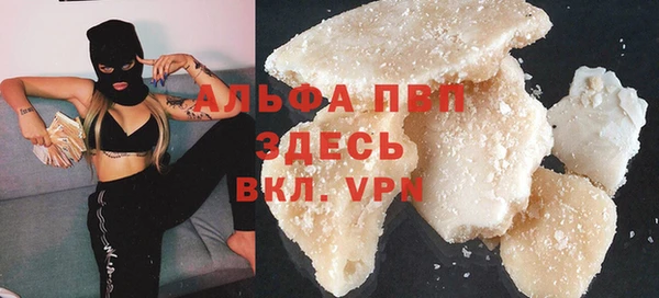 индика Узловая