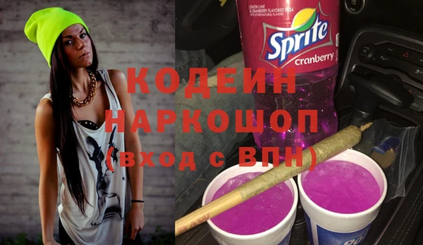 гашик Удомля