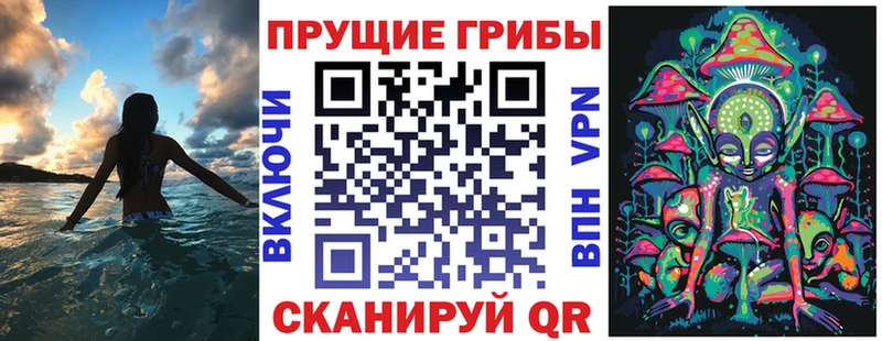 Псилоцибиновые грибы Psilocybe  Кандалакша 
